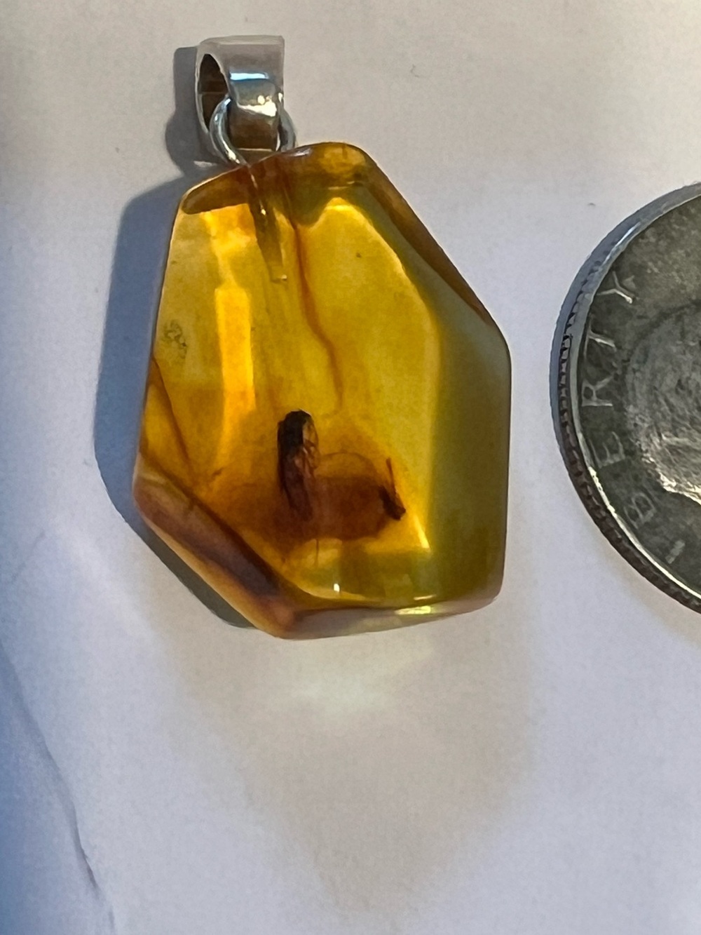 Amber Pendant with Bug